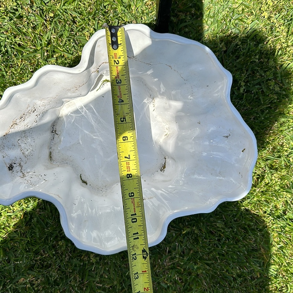 Shell vase or decor - Picture 5 of 5